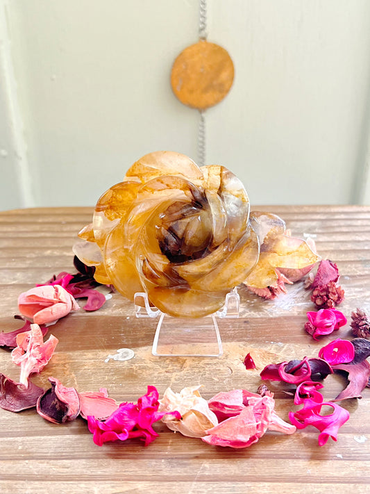 Golden Healer Flower on Stand