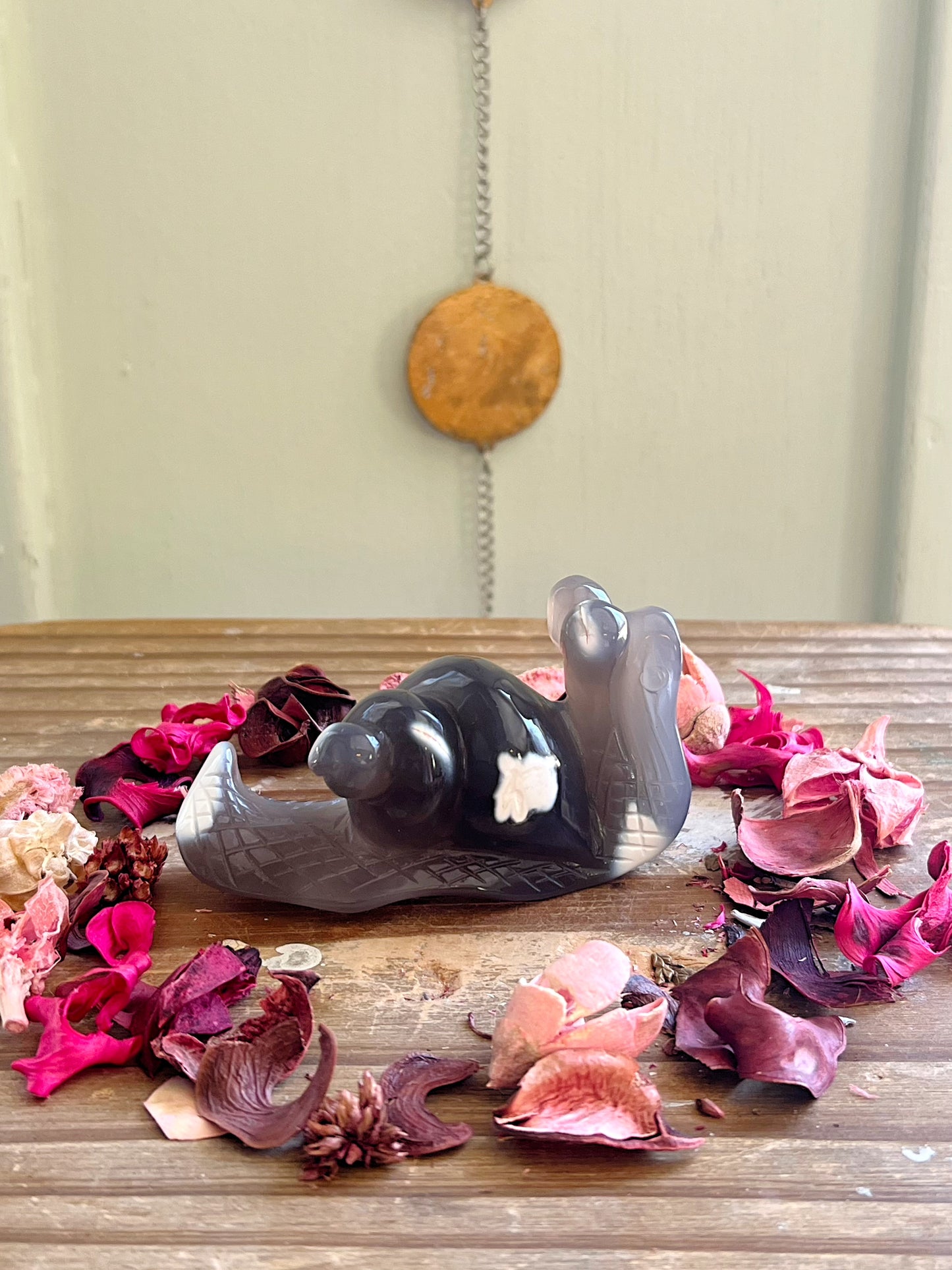 Orca Agate Snail Carving