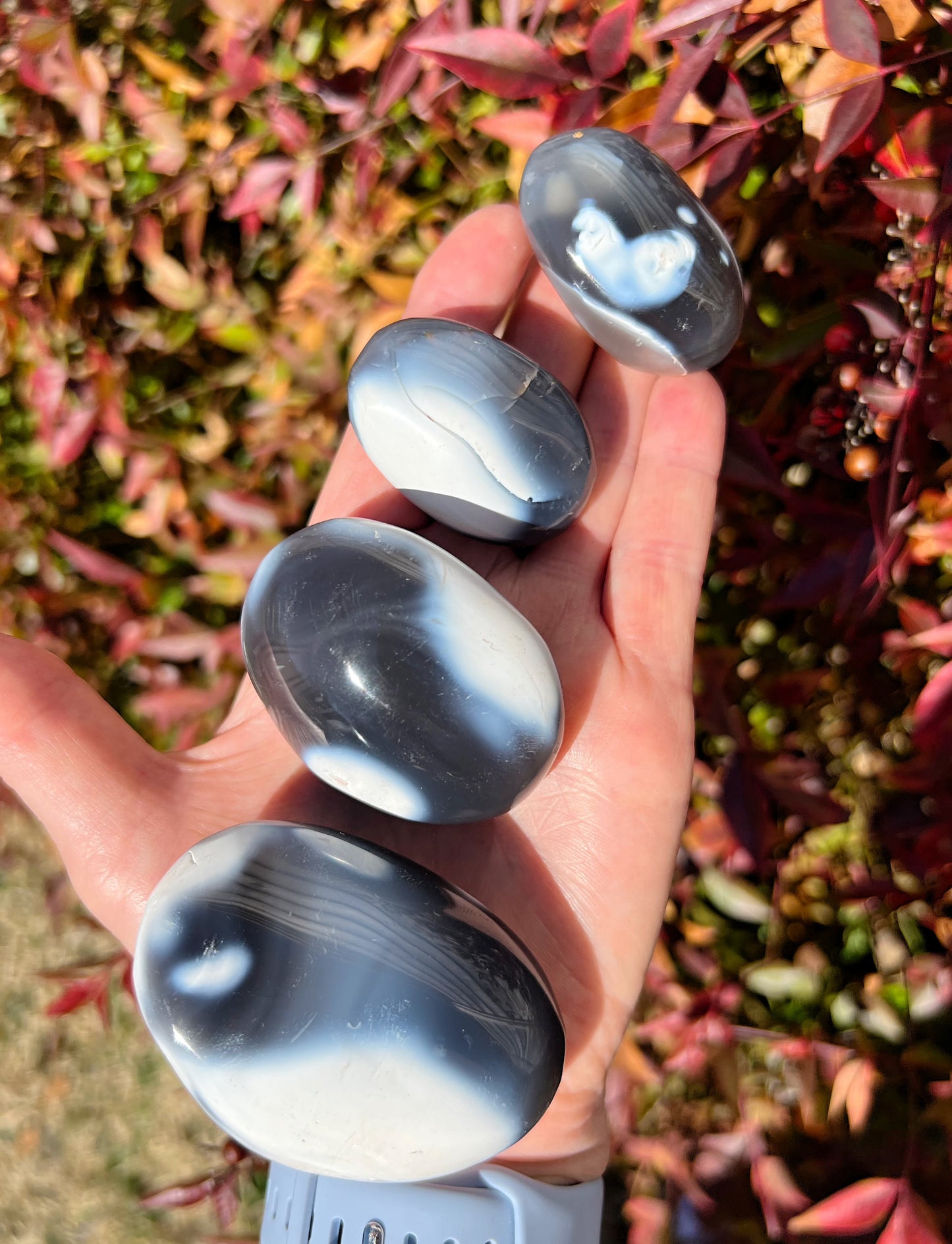 Orca Agate Palm Stones