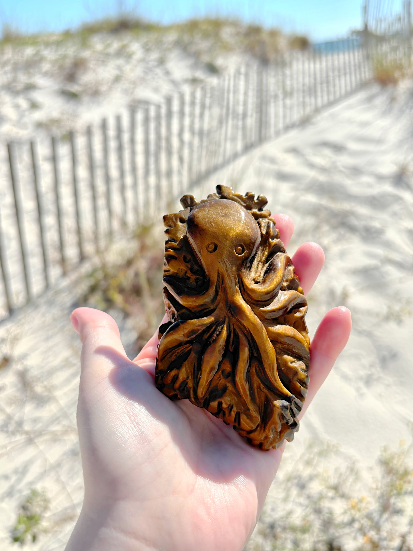 Tiger Eye Octopus Carving