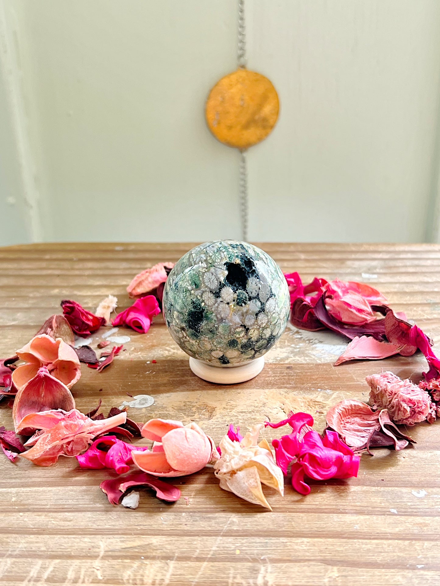 Fossilized Coral x Jasper Spheres