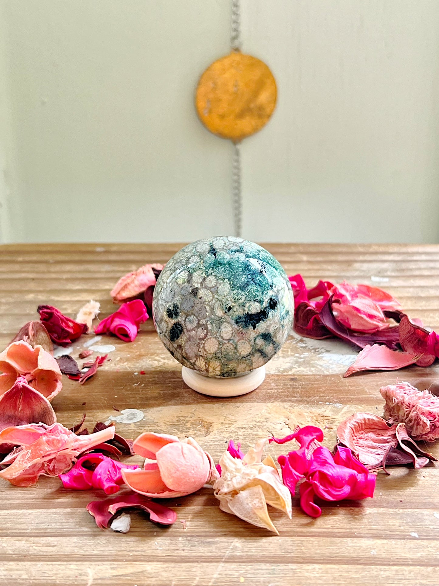 Fossilized Coral x Jasper Spheres