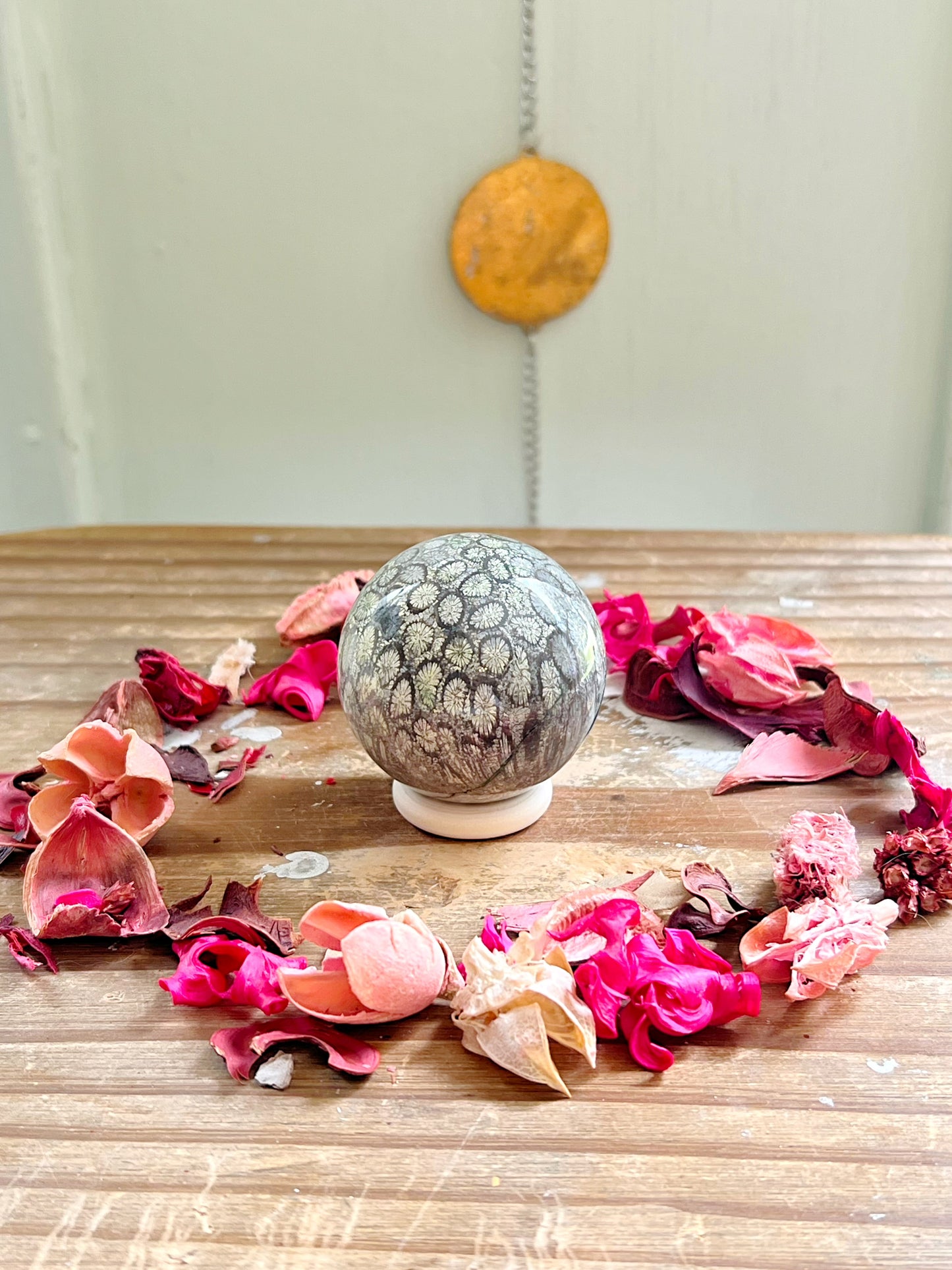 Fossilized Coral x Jasper Spheres