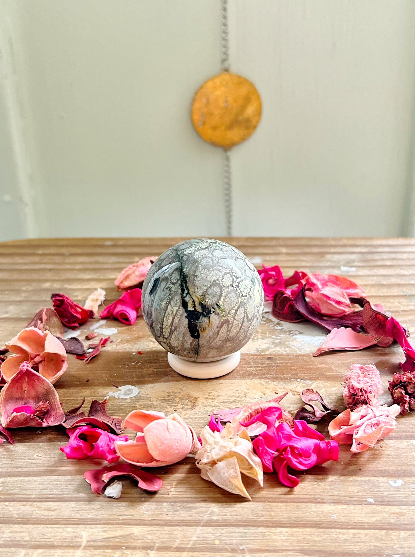 Fossilized Coral x Jasper Spheres
