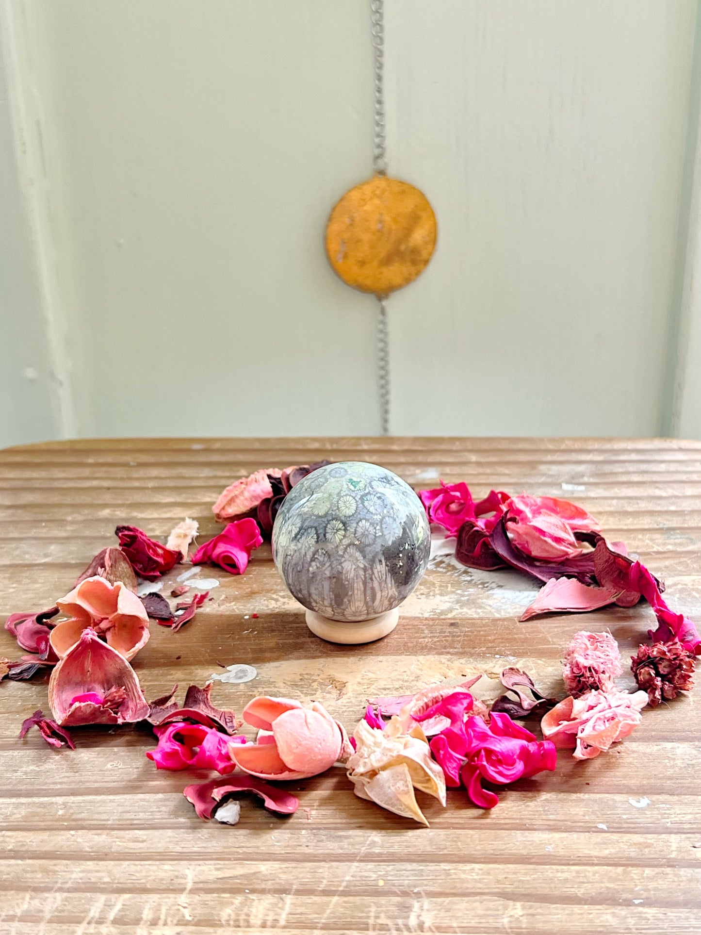 Fossilized Coral x Jasper Spheres