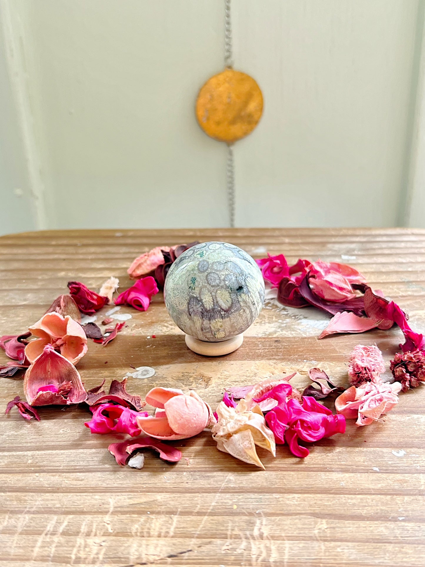 Fossilized Coral x Jasper Spheres