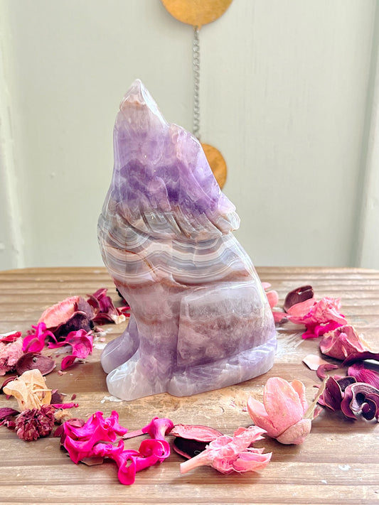 Amethyst X Mexican Lace Agate Wolf Carving
