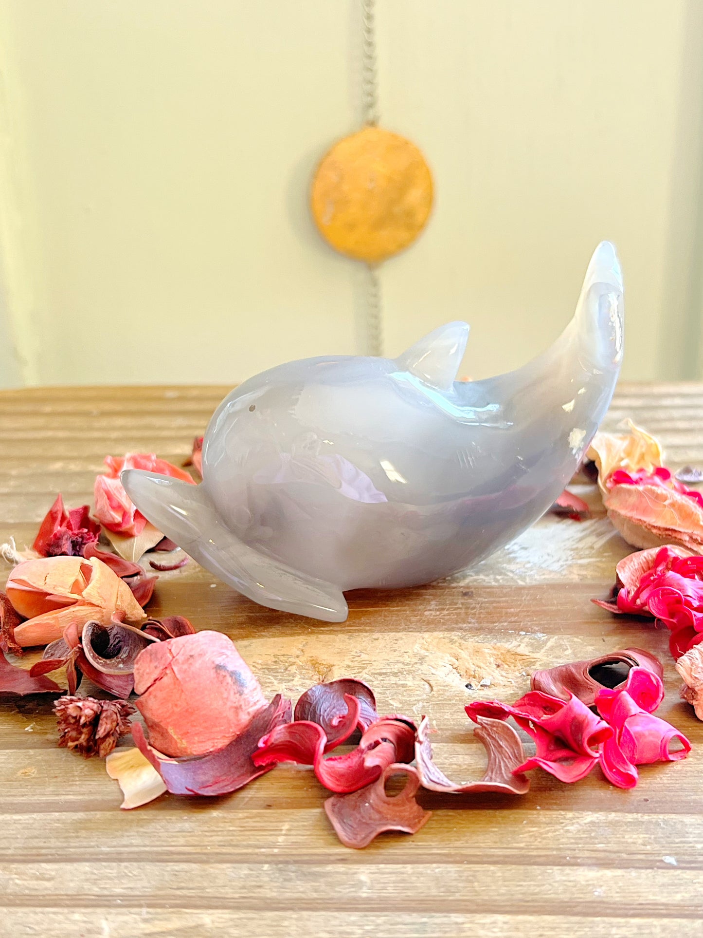 Druzy Agate Dolphin Carving