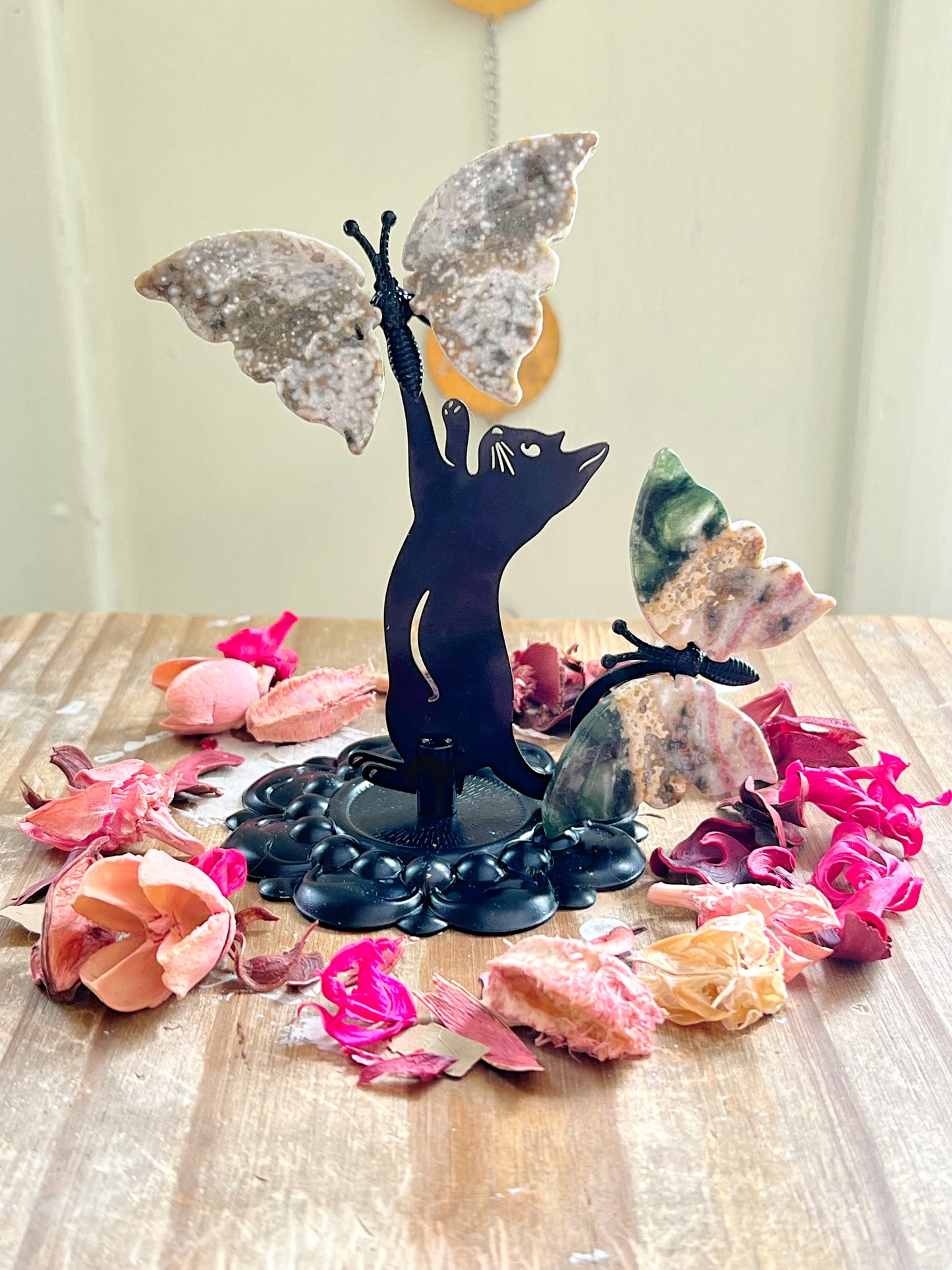Orbicular Ocean Jasper Butterflies with Cats