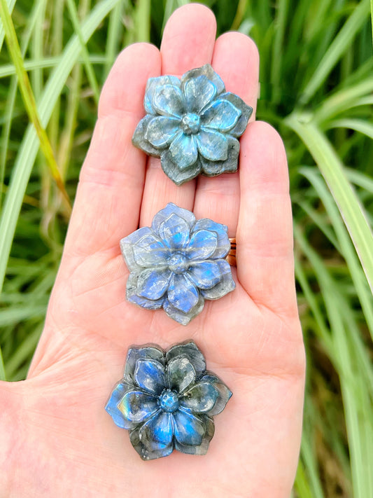 Labradorite Flower Carvings