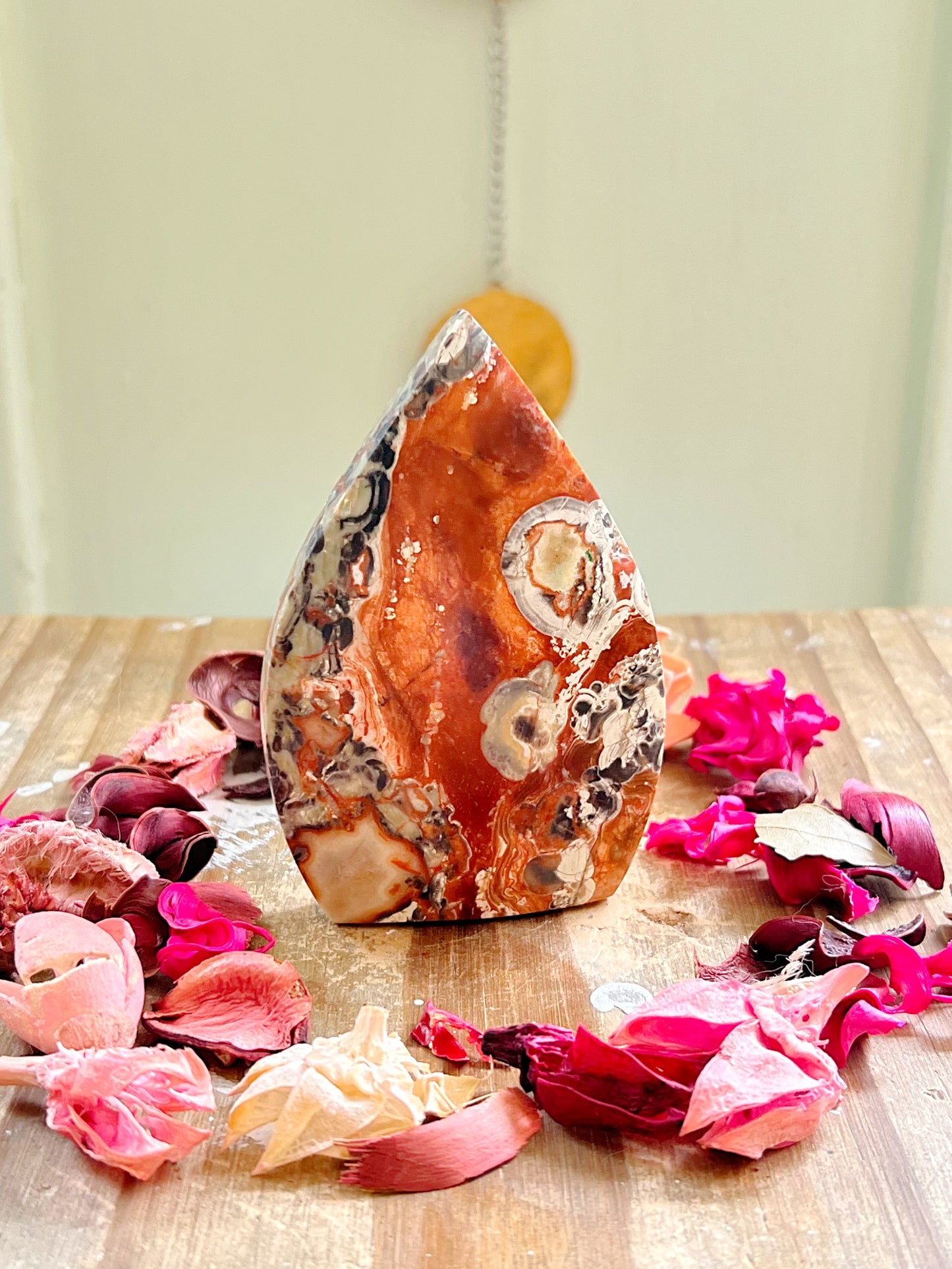 Coin Agate Freeforms