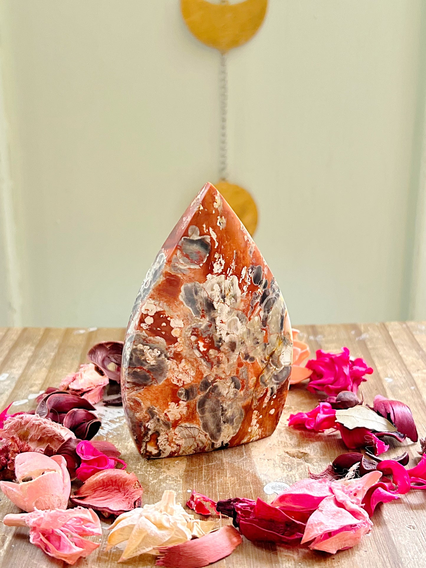 Coin Agate Freeforms