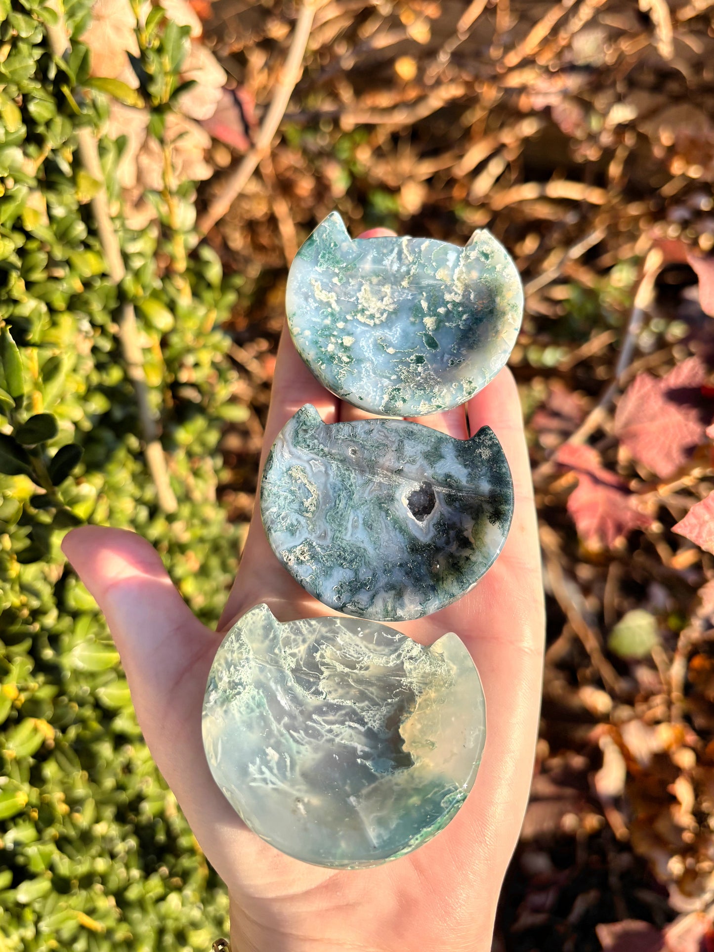 Medium Moss Agate Cat Bowls