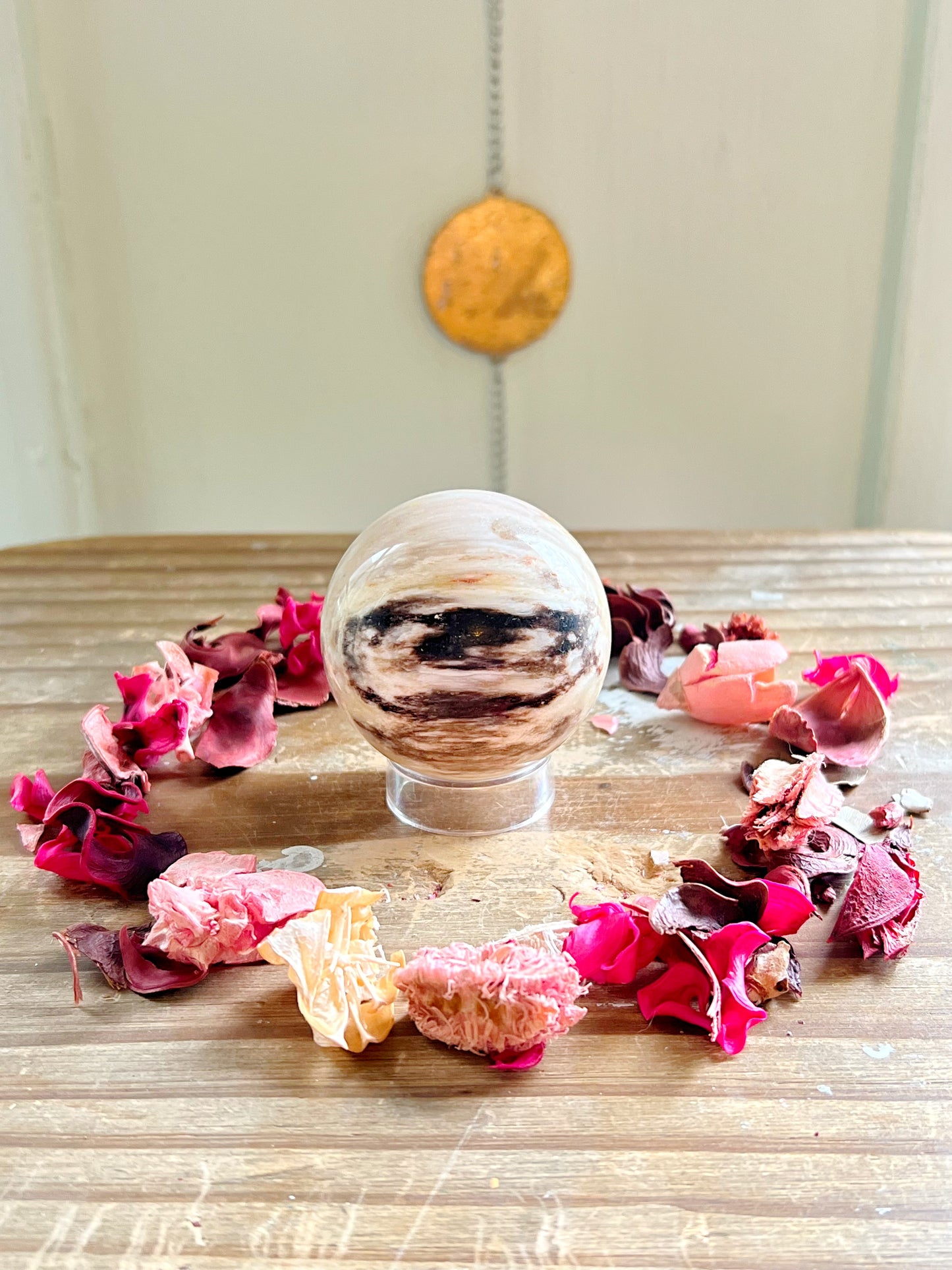 Petrified Wood Spheres