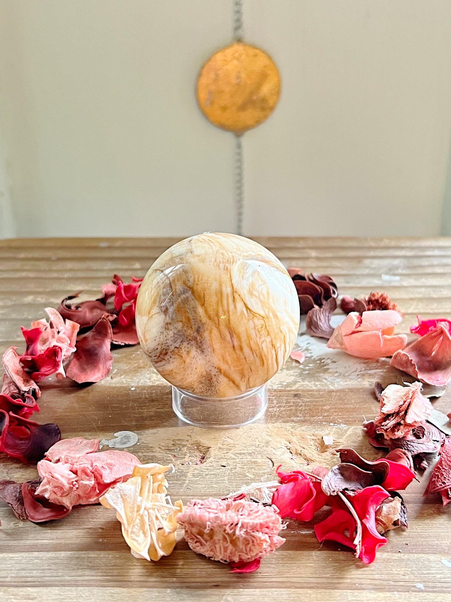 Petrified Wood Spheres