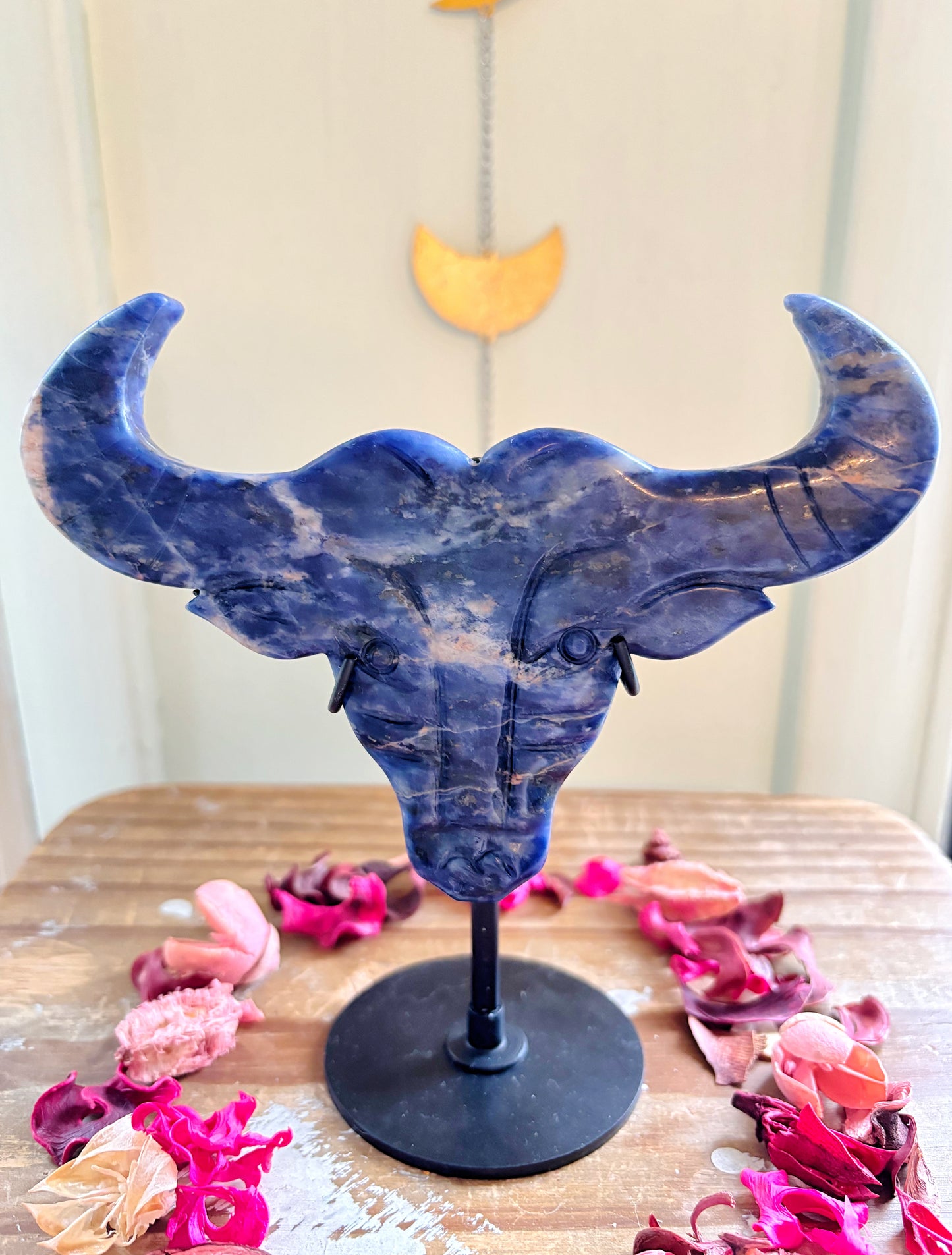 Sodalite Bull Head on Stand