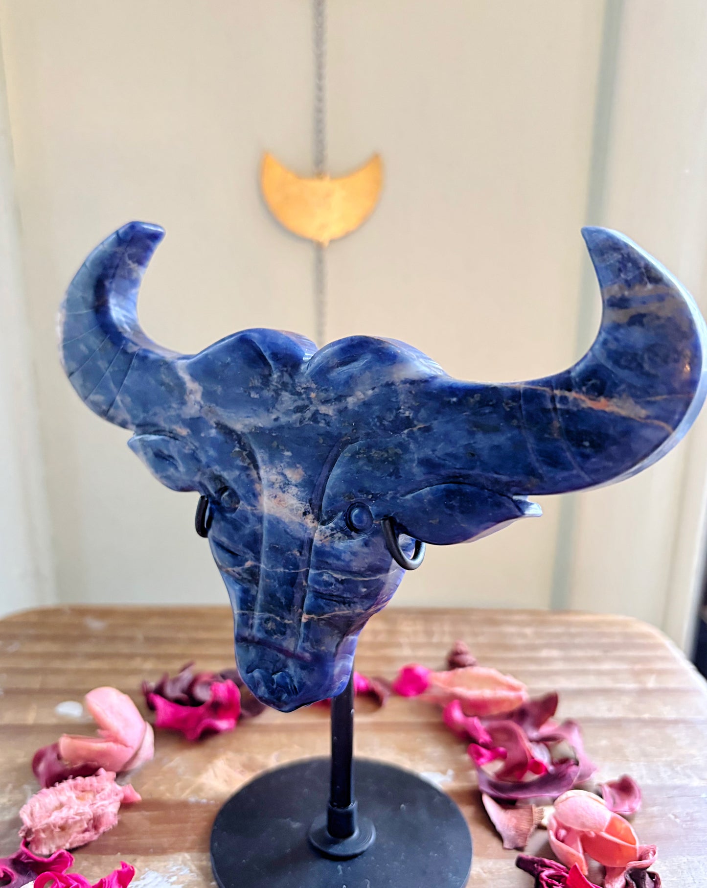 Sodalite Bull Head on Stand