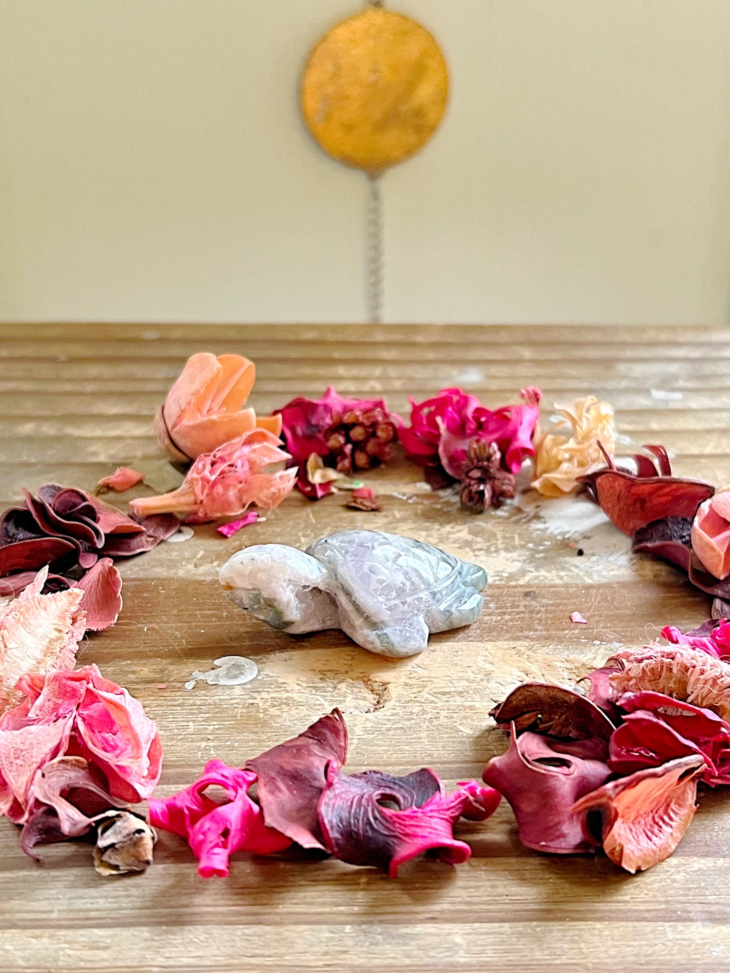 Druzy Moss Agate Sea Turtles