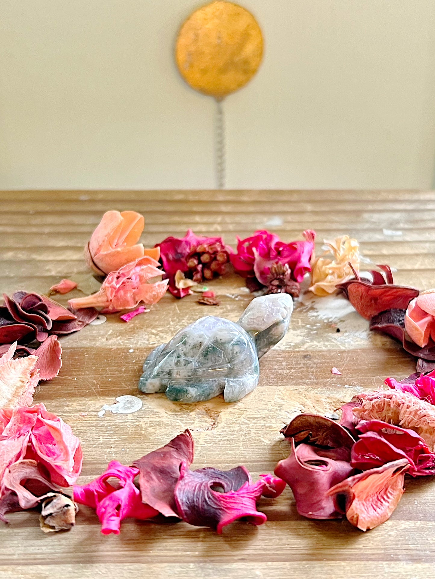 Druzy Moss Agate Sea Turtles