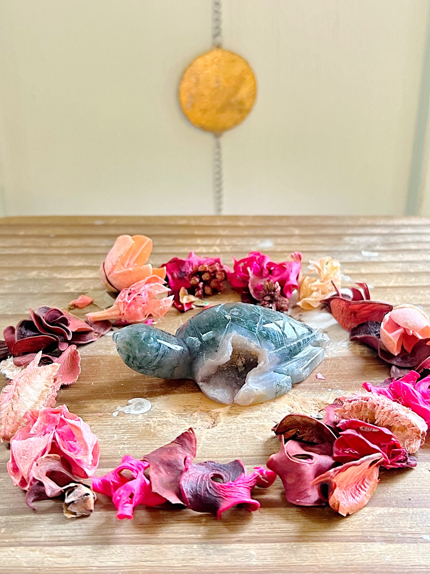 Druzy Moss Agate Sea Turtles