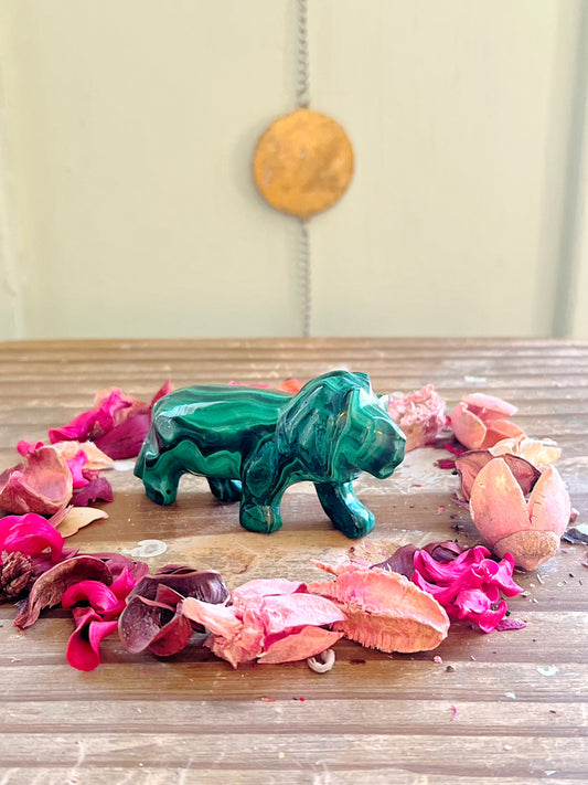 Malachite x Chrysocolla Lion Carving
