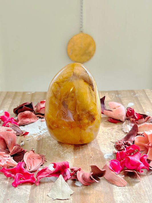 Star Golden Healer Freeform