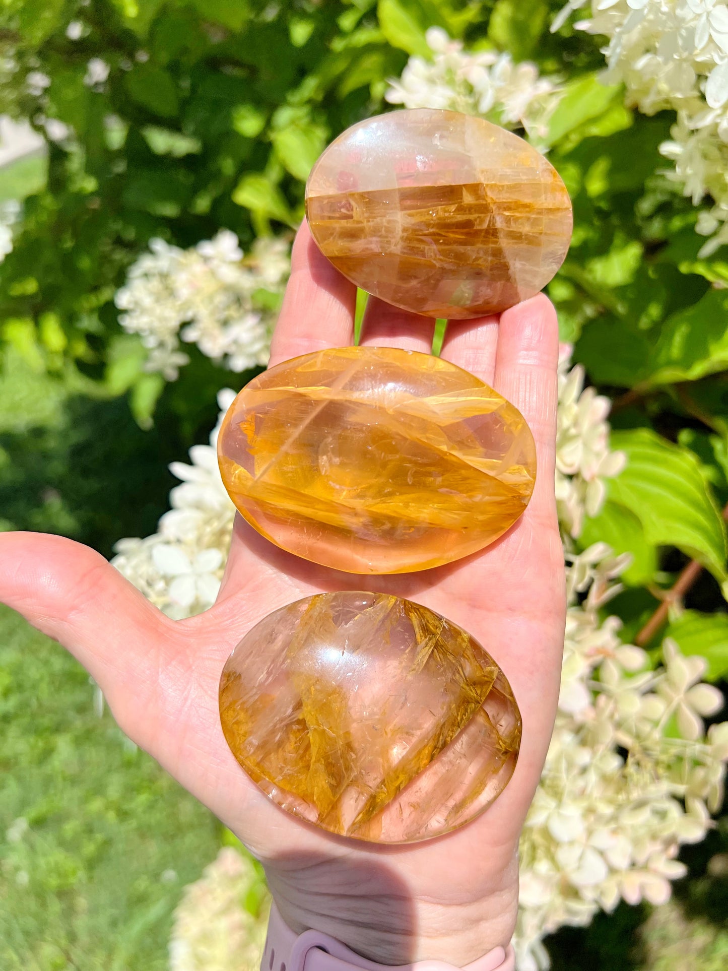 Golden Healer Palm Stones