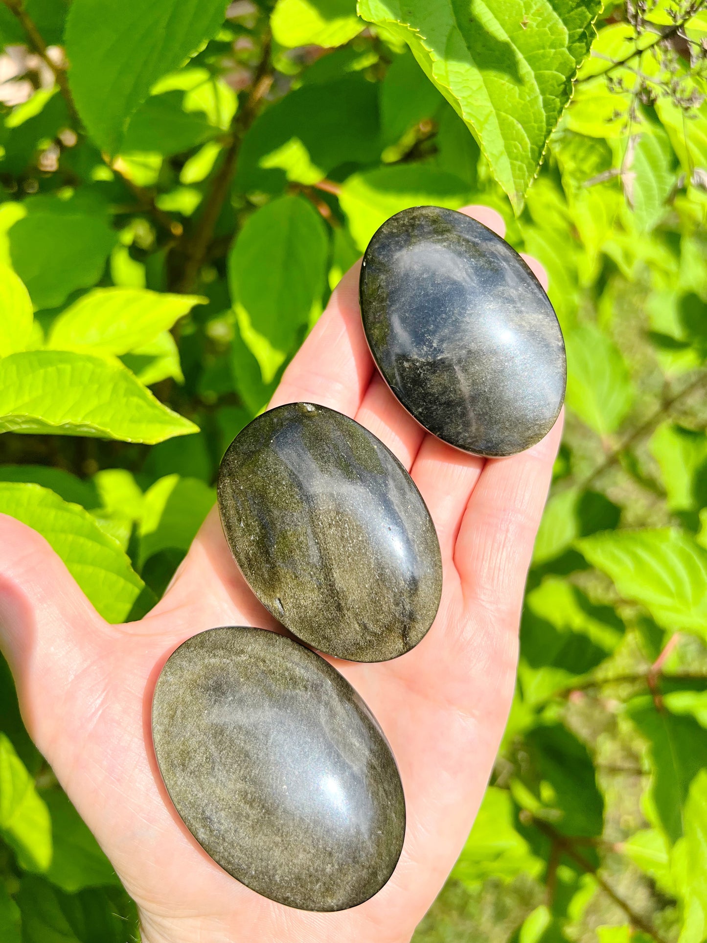 Gold Sheen Obsidian Palms