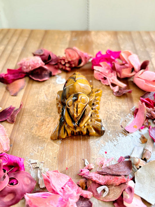 Tiger Eye Bug Carving