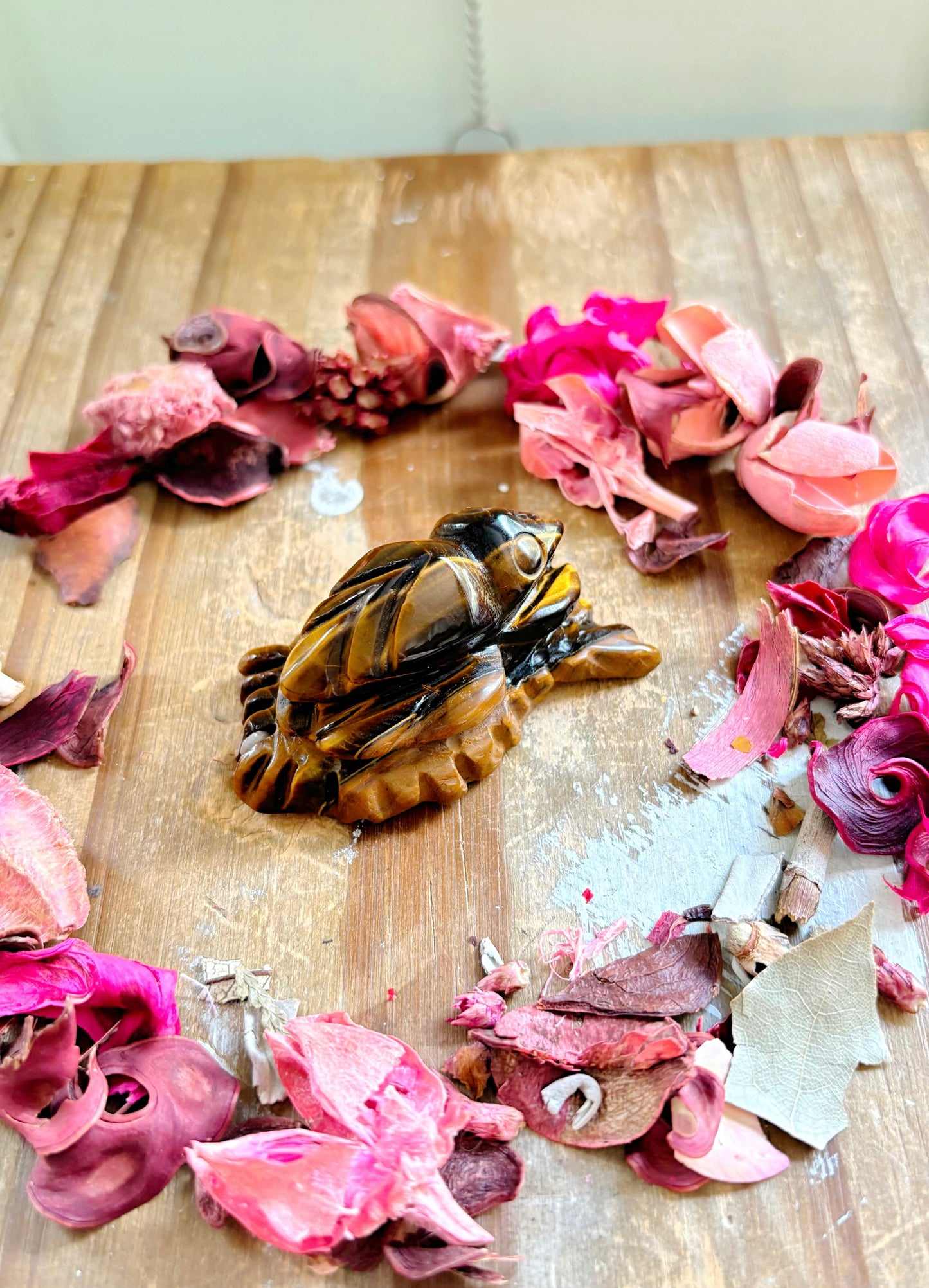 Tiger Eye Bug Carving