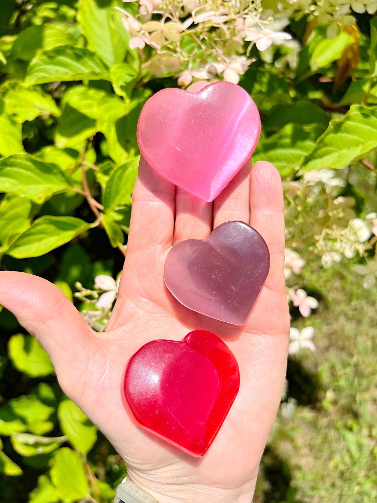 Cats Eye Hearts