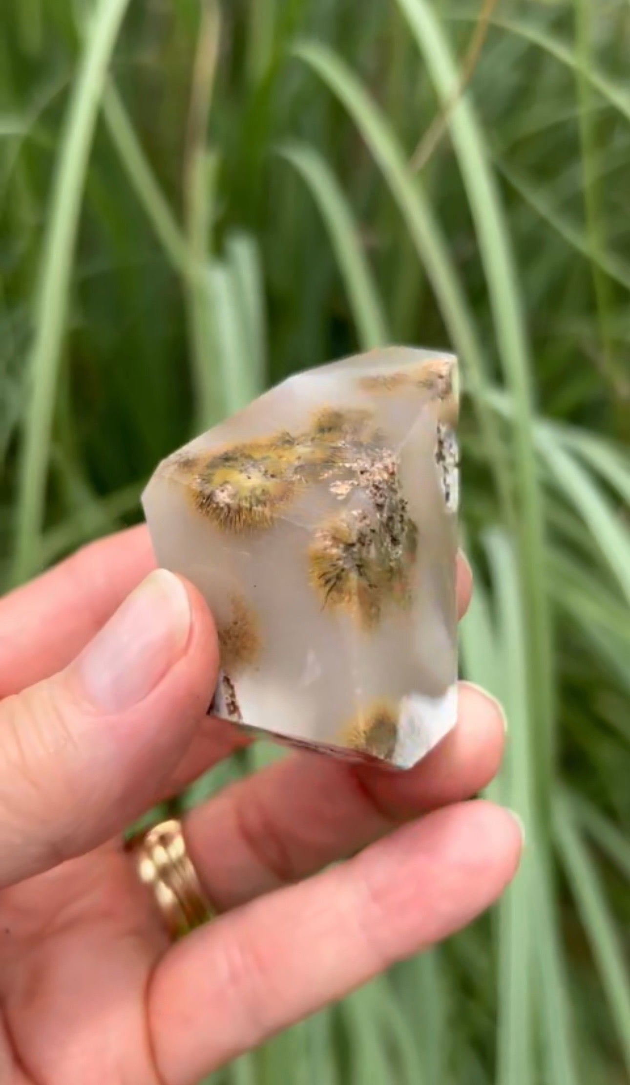 Golden Rutile Agate Freeforms