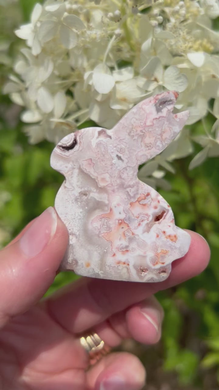 Rose and Quartz - Carvings - Druzy Pink Crazy Lace Agate Bunny Carving