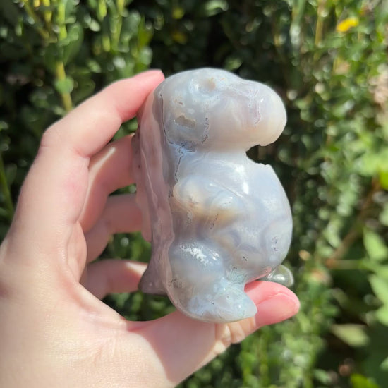 Rose and Quartz - Carvings - Chunky Dinosaur Carvings