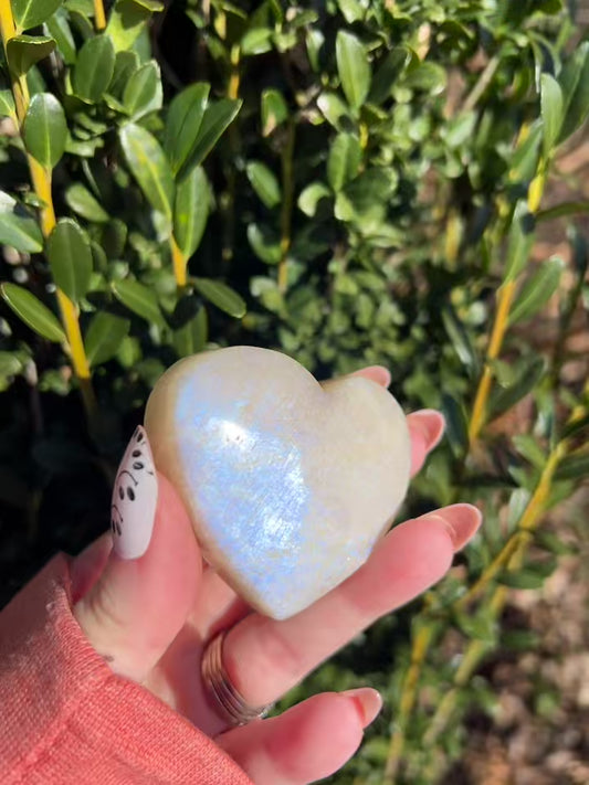 High-Quality Blue Flash Moonstone Heart Palm