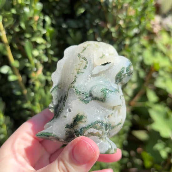 Rose and Quartz - Carvings - Chunky Dinosaur Carvings