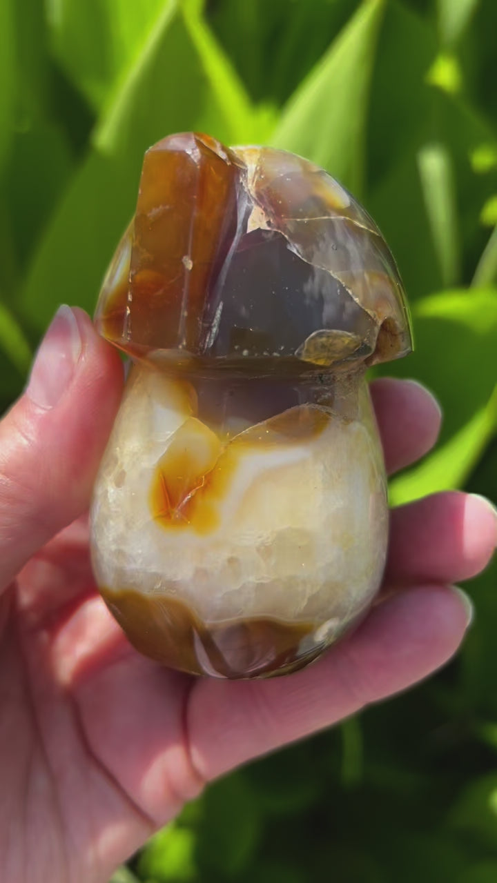 Rose and Quartz - Carvings - Carnelian Mushroom Fairy Cottage